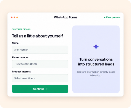WhatsApp form flow preview